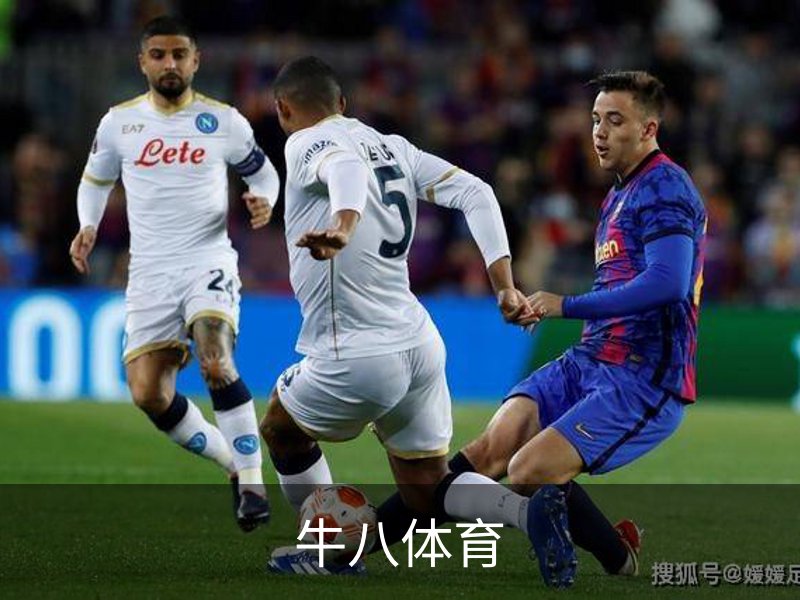 了解牛八体育